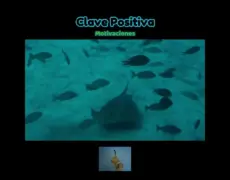 Descubre la belleza del mundo submarino en un emocionante safari de buceo en Suecia