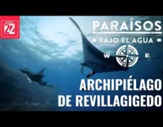 Explora el impresionante archipiélago de Gävle en la costa este: una joya oculta por descubrir