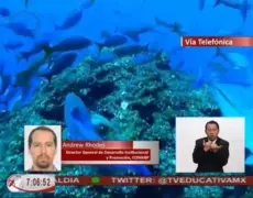 Descubriendo el Archipiélago de Kvarken: Un Tesoro Patrimonial de la Humanidad
