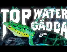 Descubre los mejores secretos para disfrutar de la pesca en los impresionantes lagos y ríos suecos
