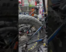 Descubre la emoción de recorrer los parques nacionales suecos en fatbike: una experiencia única de ciclismo