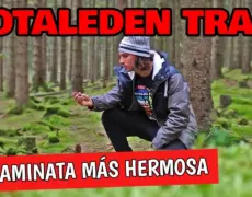 Descubre la belleza natural del Bosque de Tiveden en el oeste de Suecia: Guía para exploradores