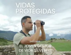 Descubre la vida silvestre en las impresionantes reservas naturales de Suecia