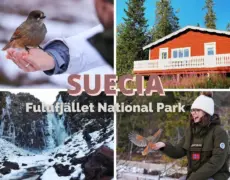 Descubre la majestuosidad del Parque Nacional de Fulufjället a través del senderismo: una experiencia inolvidable