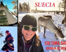 Descubre la magia de un safari de renos en Laponia, la experiencia imperdible en el Norte de Suecia
