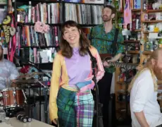 Descubre el fascinante mundo de Little Dragon: todo lo que debes saber
