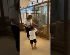 Descubre la fascinante historia de Gotemburgo en el Museo de Historia: una visita imprescindible