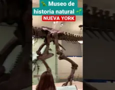 Descubre la fascinante historia de Nyköping en el Museo de Historia: una visita imperdible