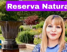 Descubre la belleza natural del Jardín Botánico de Gotemburgo en tu visita a la ciudad