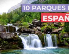 Descubre la magia del Parque Nacional de Norra Kvill: la joya natural de Suecia que debes visitar