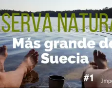 Descubre la belleza natural del Parque Nacional de Tyresta cerca de Estocolmo: ¡Una visita imperdible!