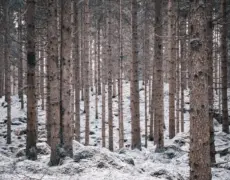 Descubre los secretos del turismo en Borås: la joya escondida de Suecia