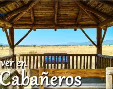 Descubre la maravilla natural del Parque Nacional de Färnebofjärden: ¡Un destino imprescindible para los amantes de la naturaleza!