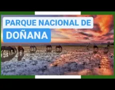 Descubre la belleza natural del Parque Nacional de Nämdöfjärden: Una guía completa para visitar