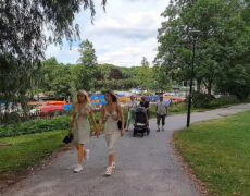 Descubre cómo disfrutar de un picnic inolvidable en Langholmen, el oasis de Estocolmo