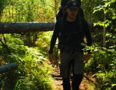Descubre la impresionante belleza natural del Parque Nacional Tyresta en Estocolmo: una experiencia imperdible